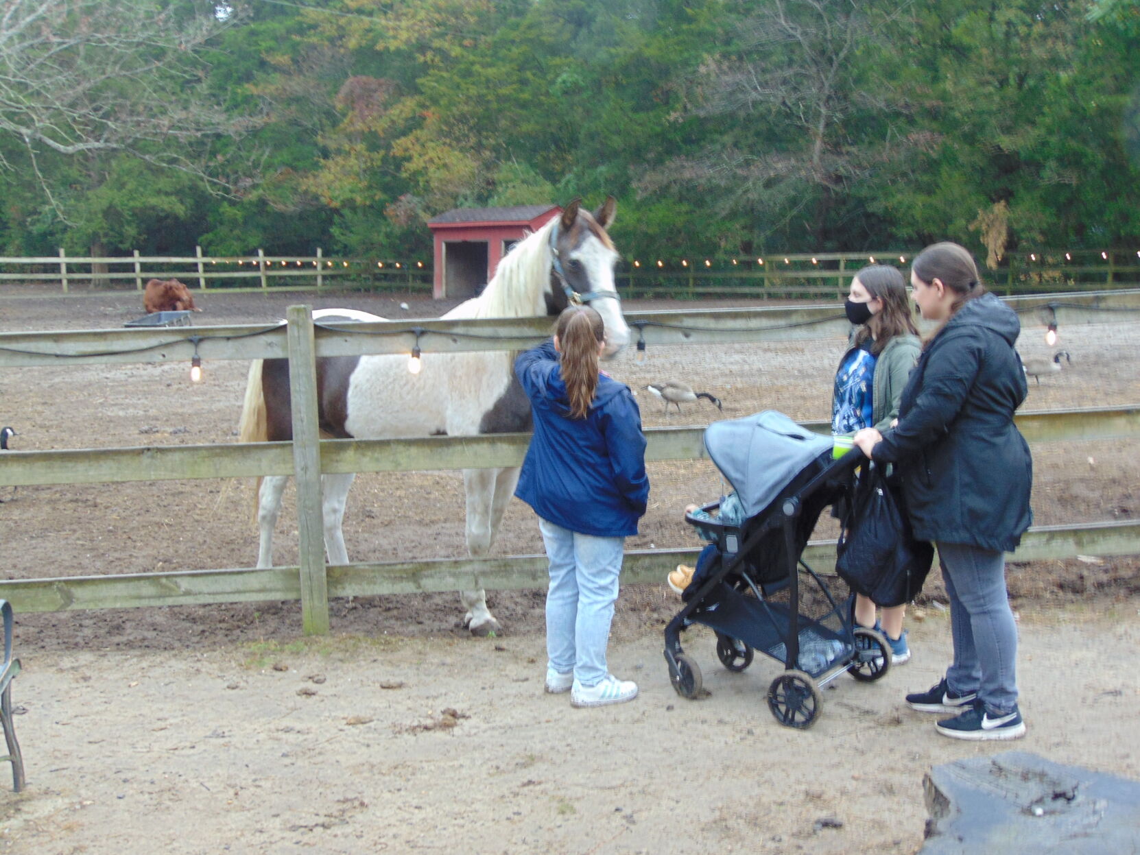 Farm gallery 6.JPG
